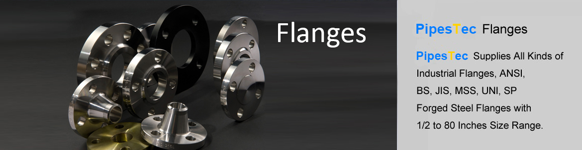 PipesTec Flanges