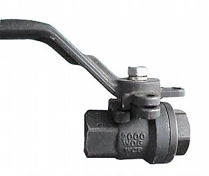 Ball Valves 2000 WOG A216 WCB