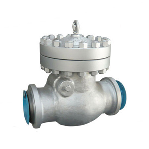 Casting Check Valve, 2 Inch, 150 LB, WCB, Siver Grey