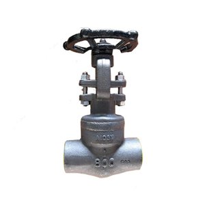 ANSI A105N Gate Valve, API 602, 1IN, 800 LB, NPT